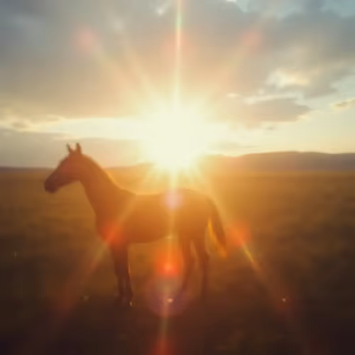 ASTROHORSE