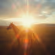 ASTROHORSE