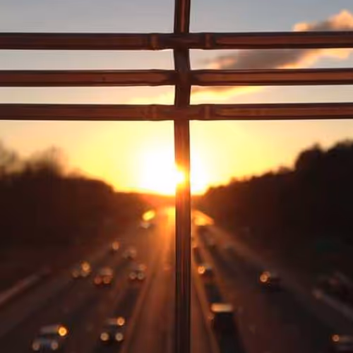 Obligation Friday Contrary