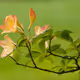 Part of Nature