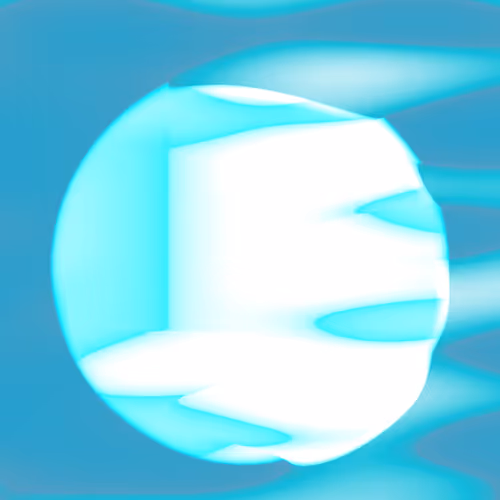 The birth of Enjoy