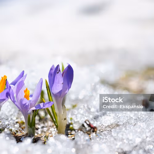 0x639ce625fede474e4090f54512f2fc2244fbea13