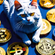 CRYPTOCATS