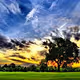 Nature Beauty