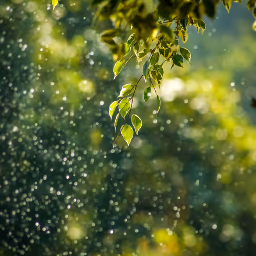 Freshness