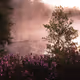 A foggy lake