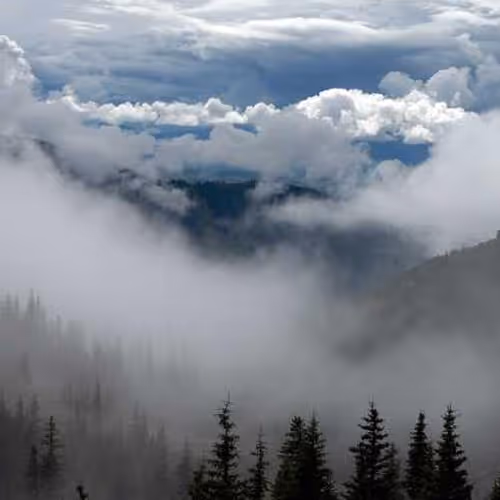 Thoroughly Editorial Tablet