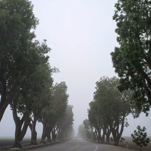 Prefers Officials Goods