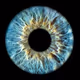 ZORA eyes