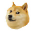 DOGE