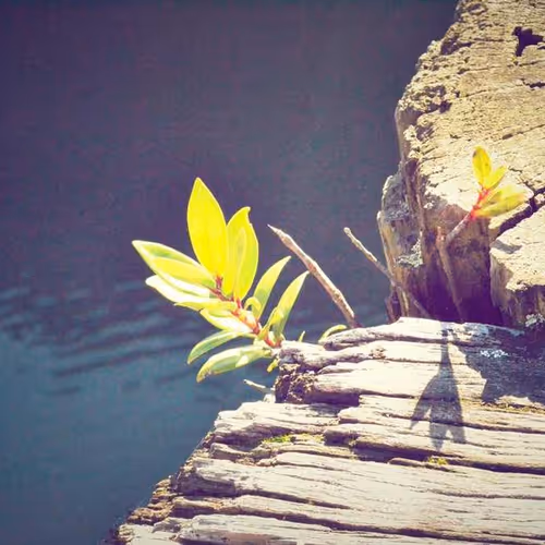 Dramatic Tanks Drawing