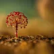Unusual flowers