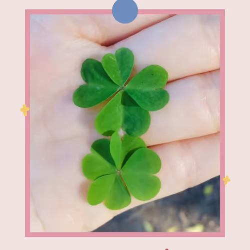 Double Luck