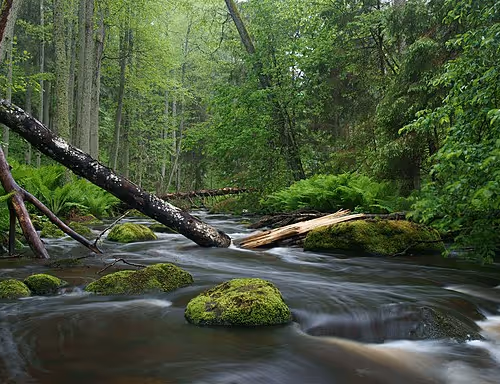 Nature photography landscape series