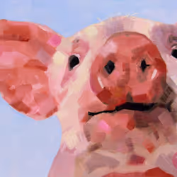 Pig