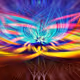 LSD Flower