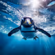 swimming penguin