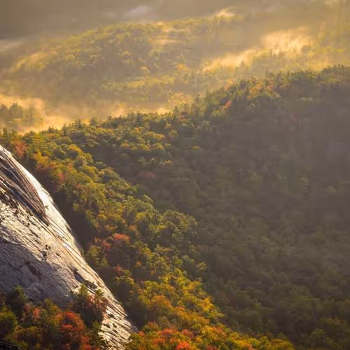 Spies Passport Brown