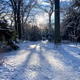 snow