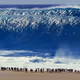 Seas and Oceans