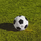 ball