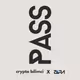 Crypto Bilimci x Zora Pass