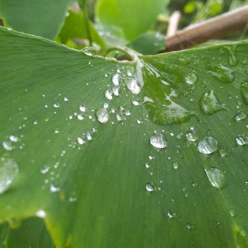 Beach Huntington Jay