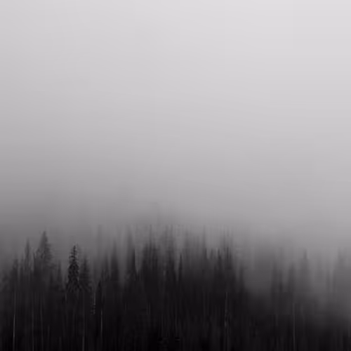 Anyway Lab Streaming