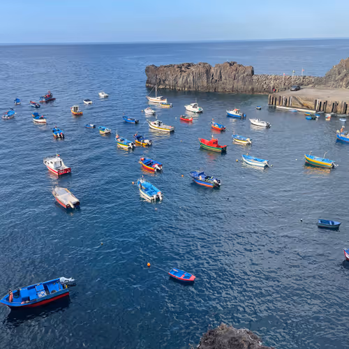 Camara de Lobos - Madeira Island