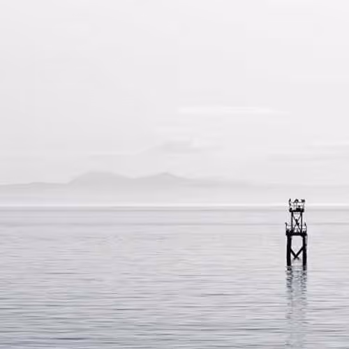 Affected Mall Ensemble