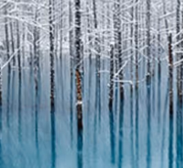 Amazing Landscapes