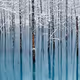 Amazing Landscapes