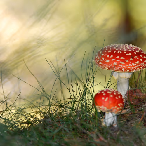 0x3498e125cd2383da4a6b7b626b1dd7e0d53e91c9