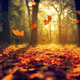 autumn