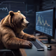 Bear vs Bull