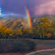 Sonoran Desert Spring
