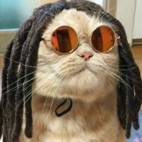 GlassCat