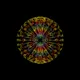 illusion