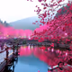 Nature 7