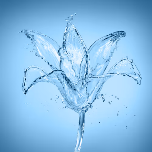 Water flower