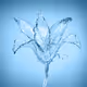 Water flower