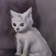 acat