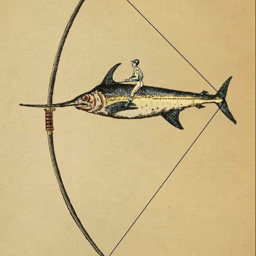 Bowfish