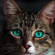 Animals Cute
