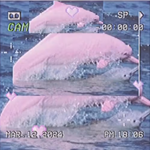 Weeping Fantasy  ๋࣭  ࣪ ˖✩࿐࿔