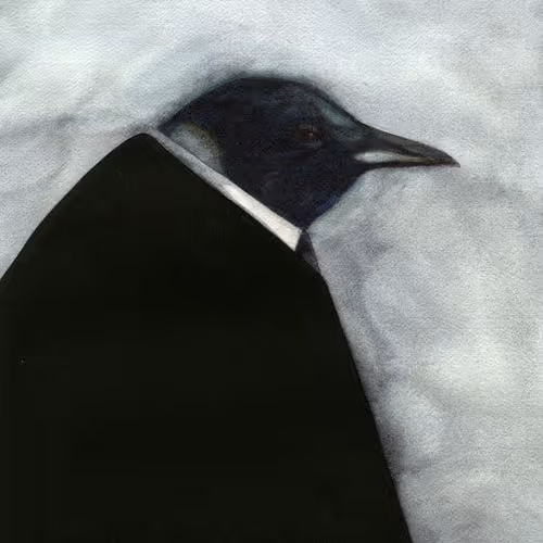 Pengu
