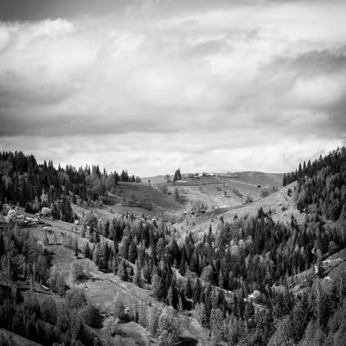 Panels Message Implement