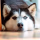 Haska