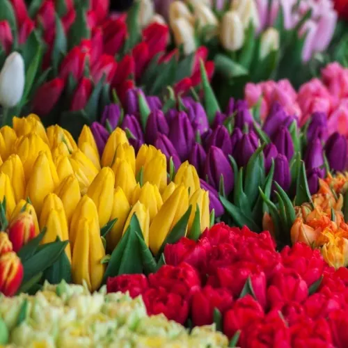 Flowers