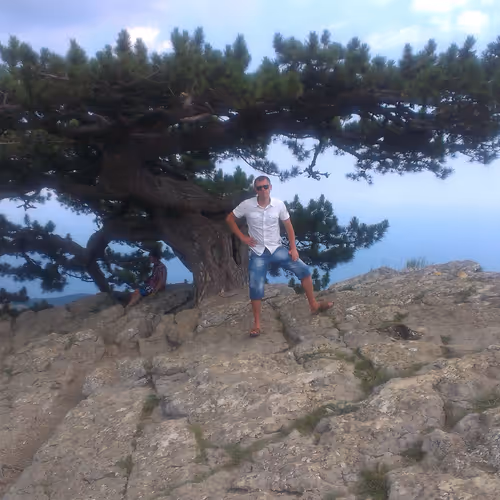 tree